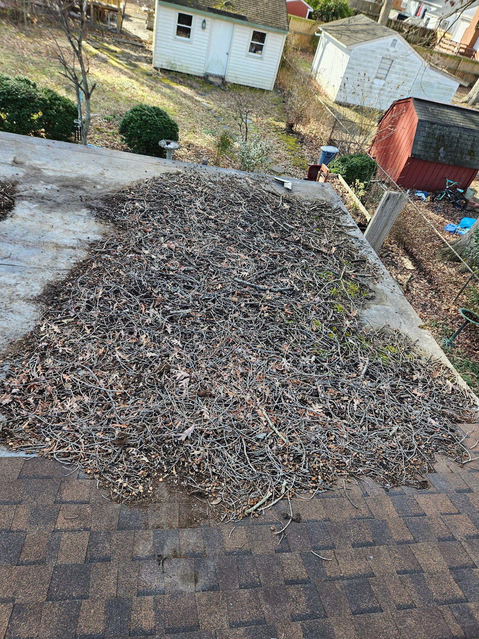 Before – Roof