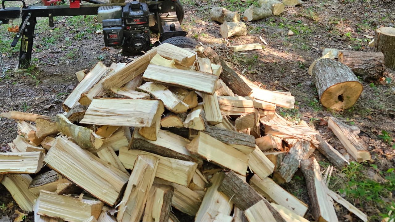 What to do with wood chips after tree removal?