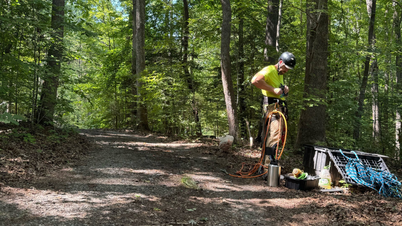 Professional Tree Removal in Ashland, VA