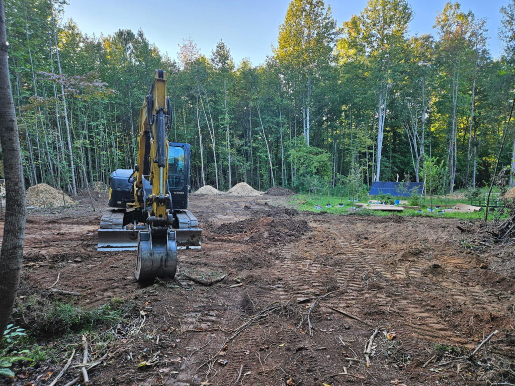 Tree Removal in Glen Allen