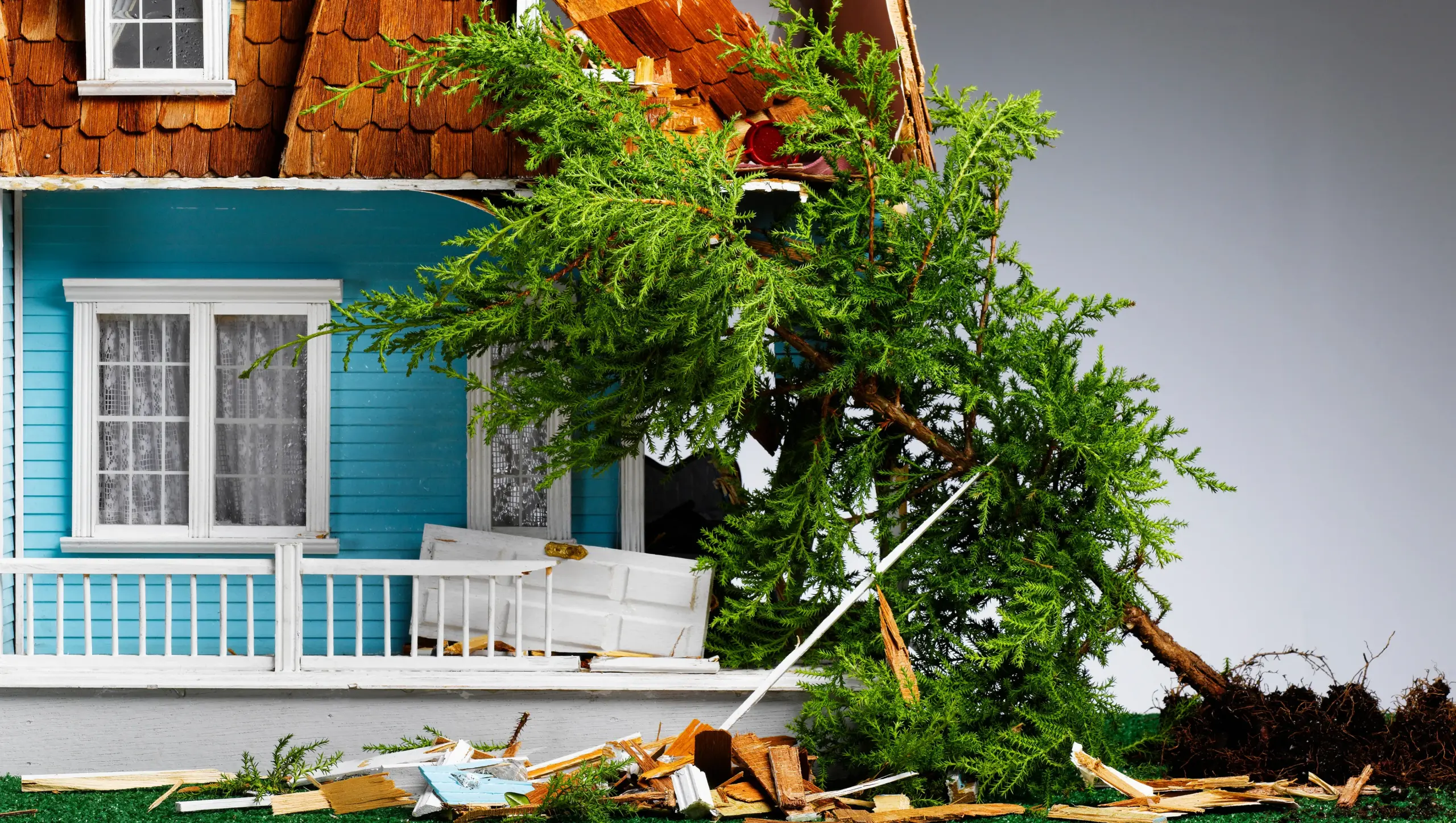 Who Is Responsible for Tree Removal on Your Property Line?