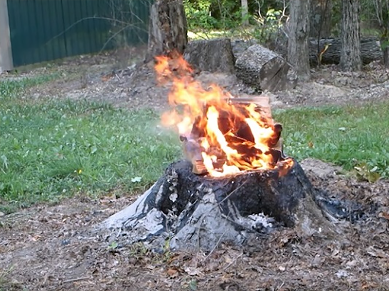 Are Burning Tree Stumps Dangerous?
