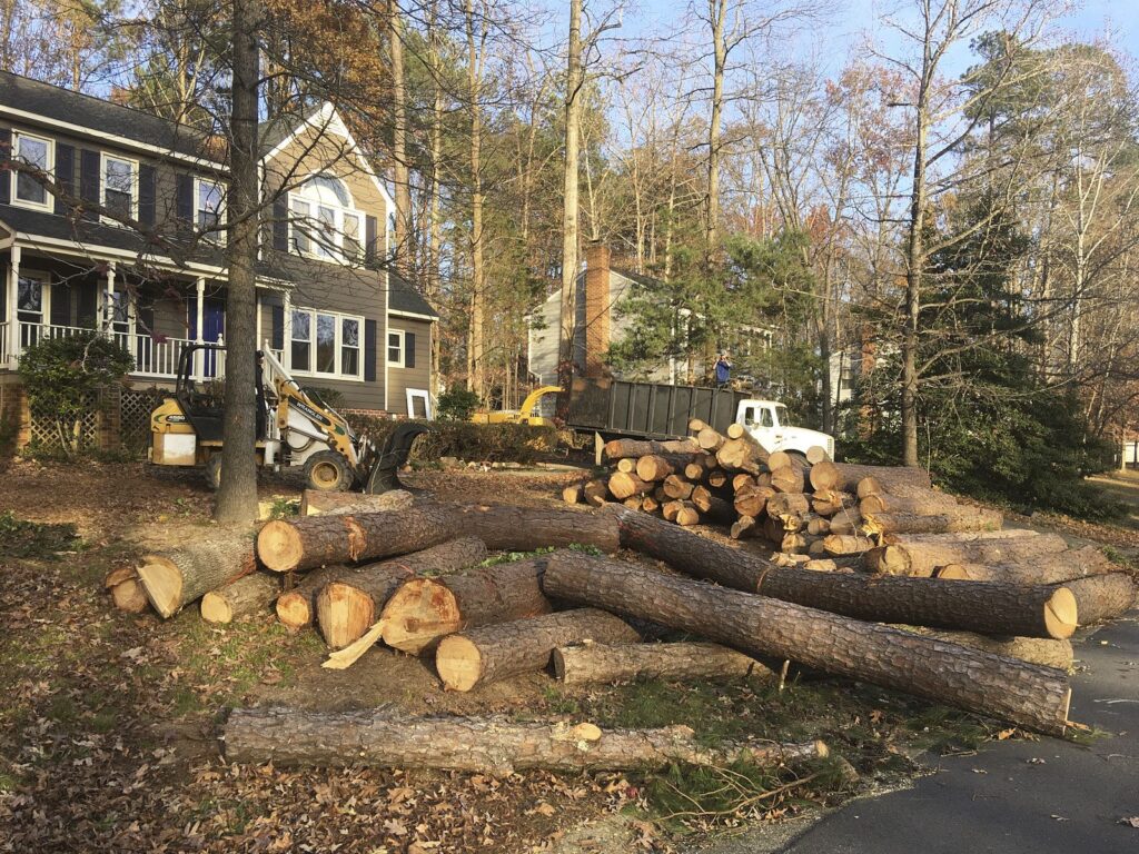 Why Safe Tree Removal Matters for Montpelier Properties