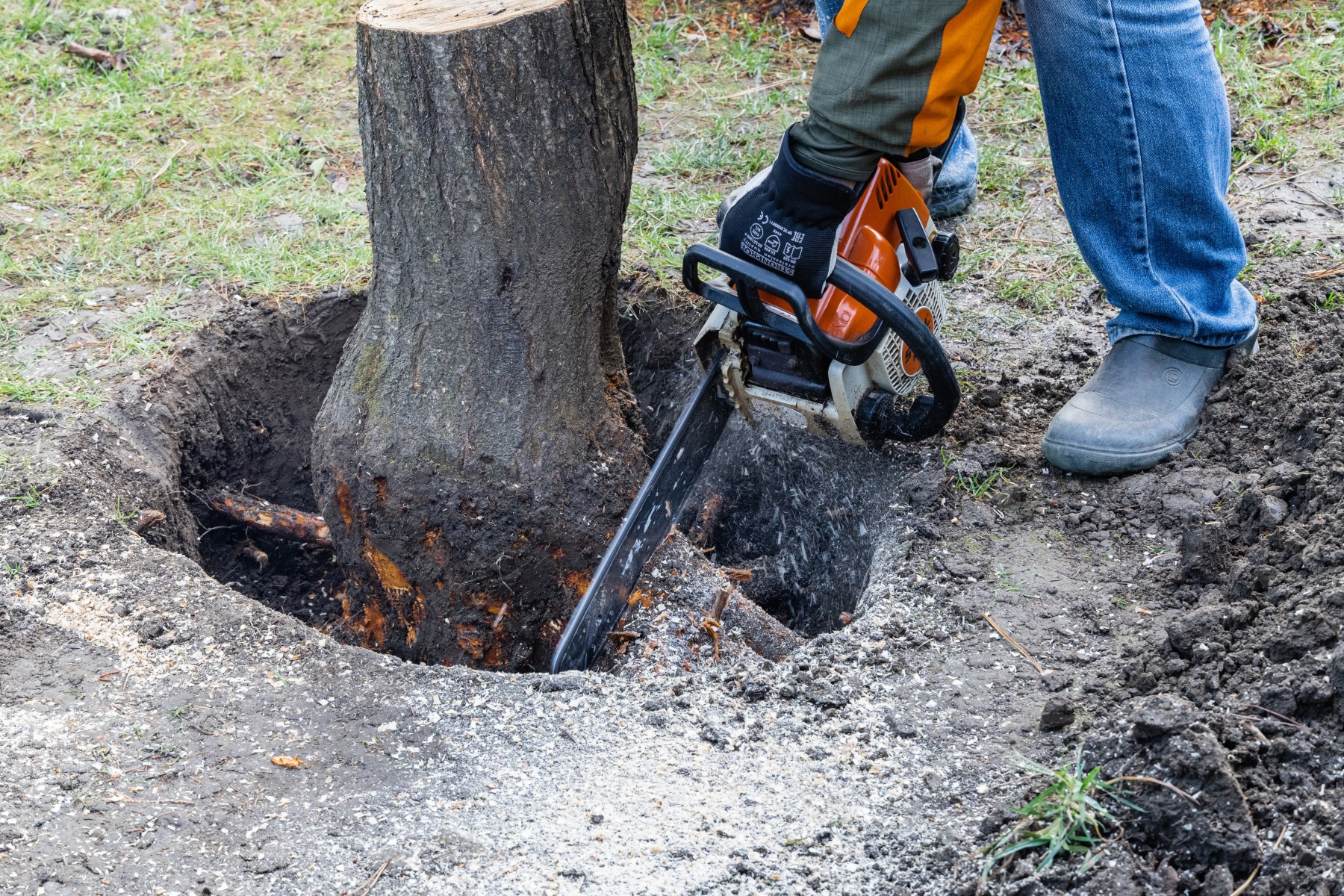 stump grinding