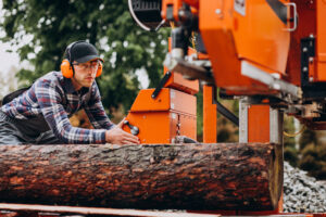 6 Tips on How to Find a Good Tree Removal Service