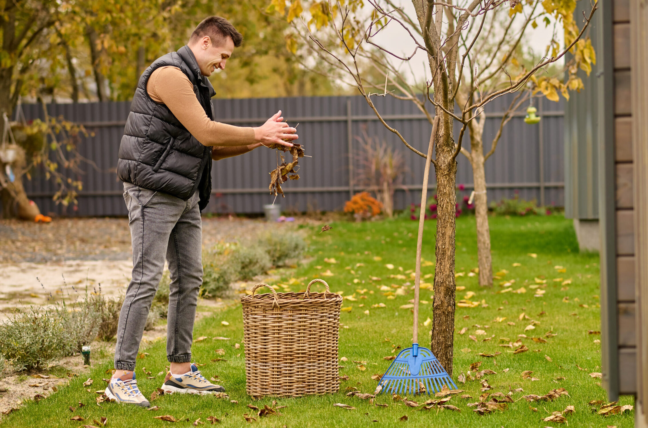 Lawn After Tree Removal