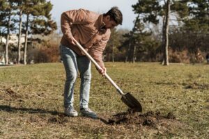 What Is the Cheapest Method of Clearing Land?